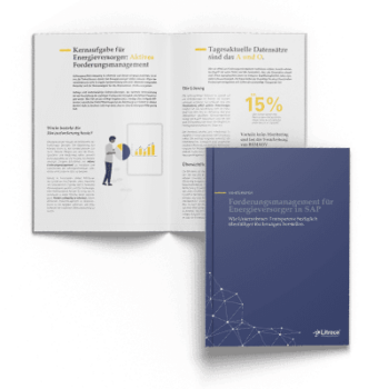 Whitepaper - Forderungsmanagement in SAP